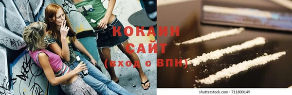 хмурый Каменногорск