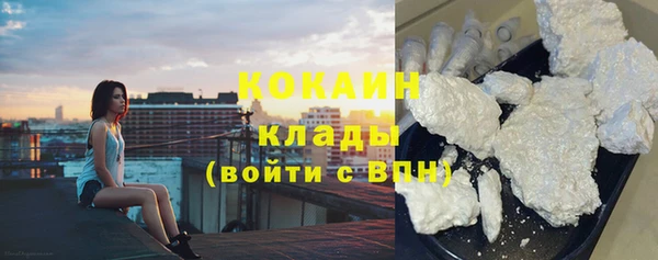 хмурый Каменногорск