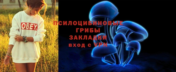 ешки Касимов