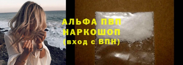 хмурый Каменногорск