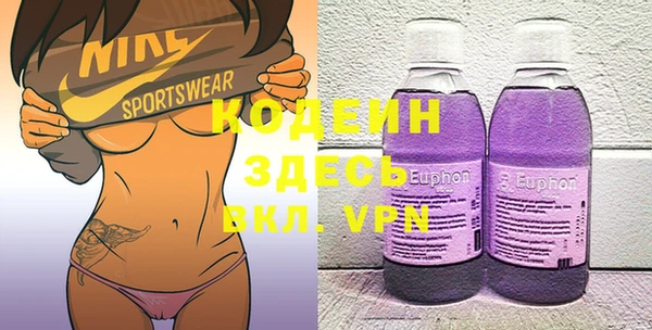 хмурый Каменногорск