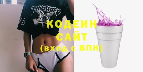 хмурый Каменногорск