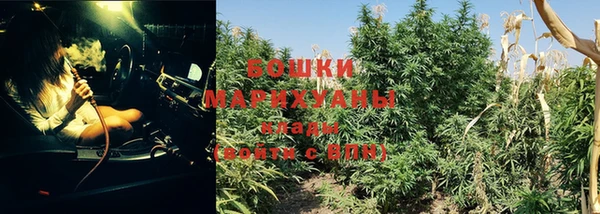 ALPHA-PVP Каменка
