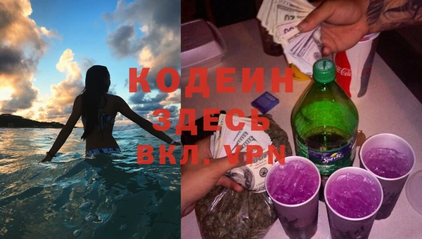хмурый Каменногорск