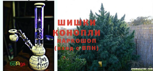 хмурый Каменногорск