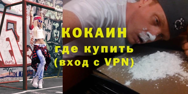 прущие грибы Карталы