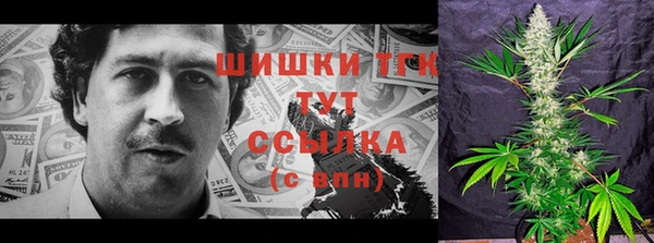 ALPHA-PVP Каменка