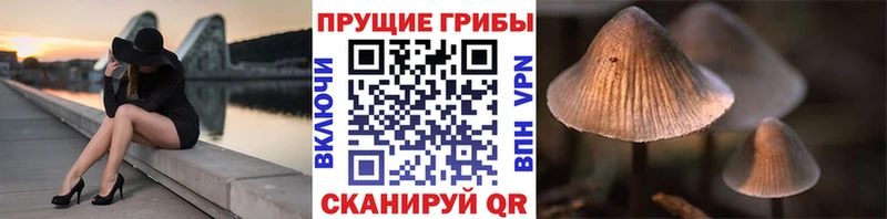 Псилоцибиновые грибы прущие грибы  сколько стоит  Миасс 